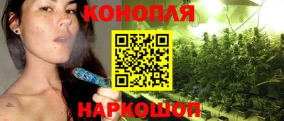 индика Тулун