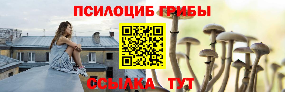 Псилоцибиновые грибы MAGIC MUSHROOMS Нижний Тагил